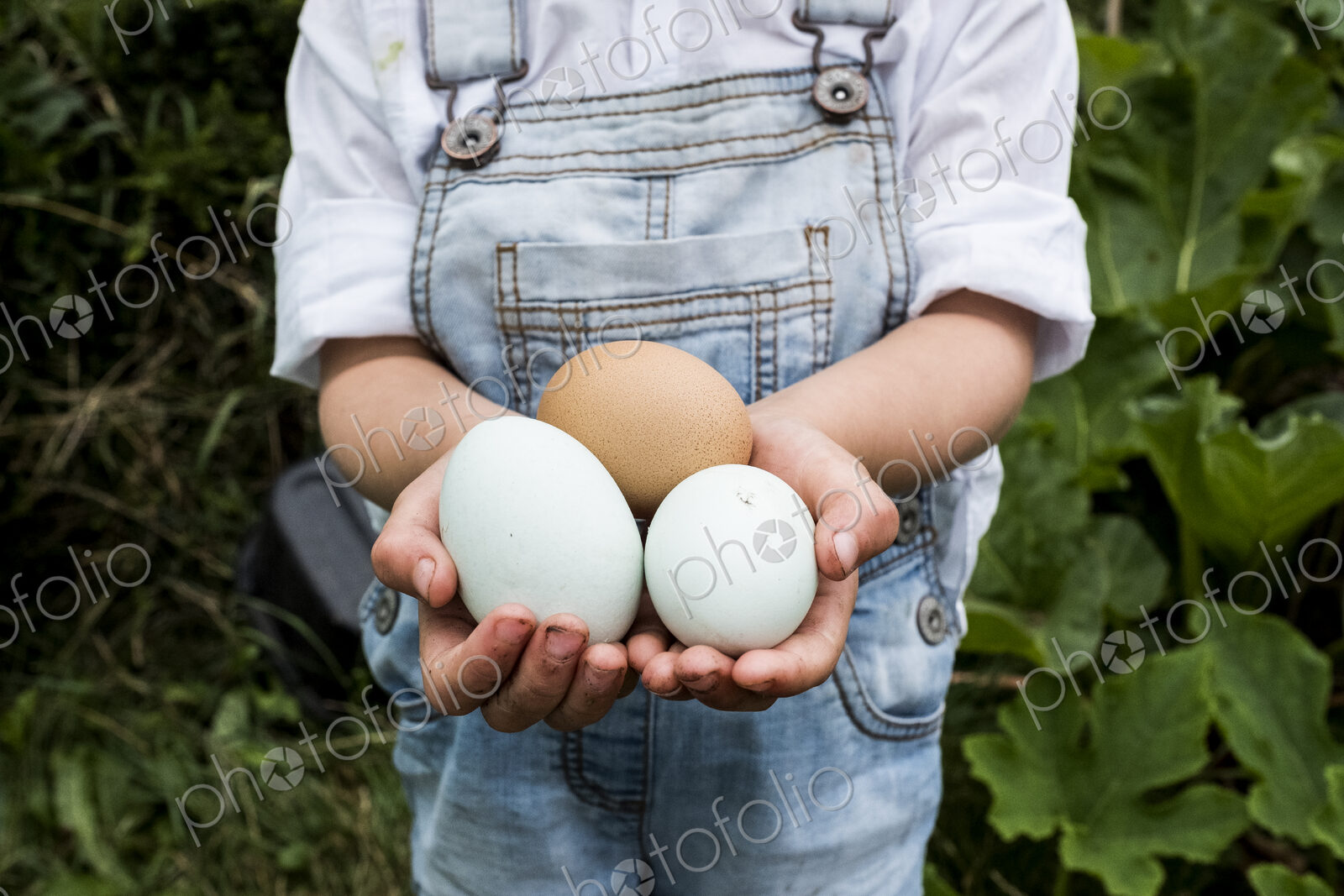 Close up of girl standing outdoor, holding three freshly laid eggs in her hands.