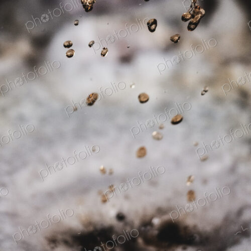 Close up of grape juice in a vat in a winery. Close up of grape juice in a vat in a winery.