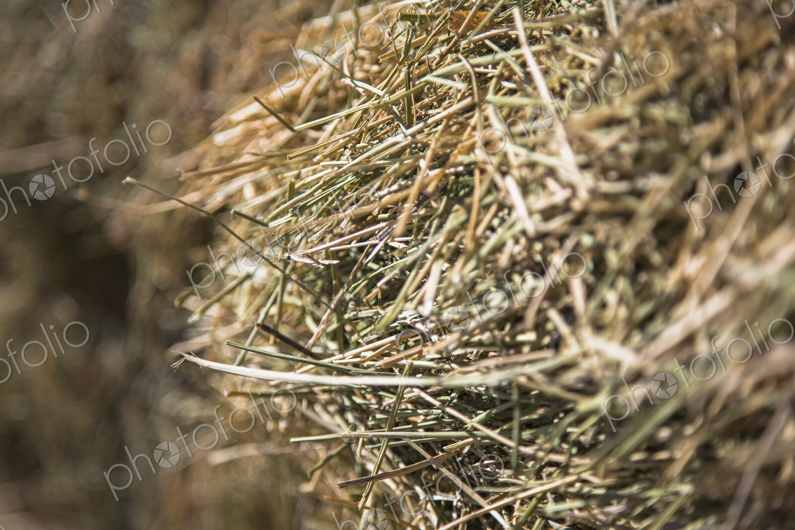 Close up of hay stalks in a bale. Animal fodder and bedding for the winter months.