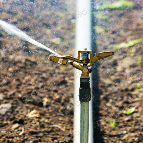 Close up of irrigation sprinkler spraying water Close up of irrigation sprinkler spraying water