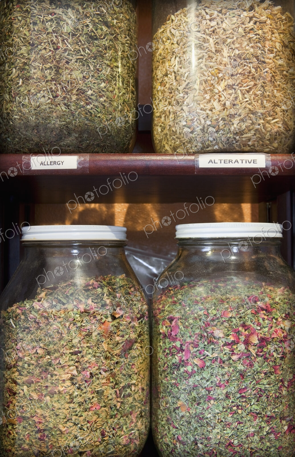 Close up of jars of medicinal dried herbs and plants on shelves in apothecary shop.