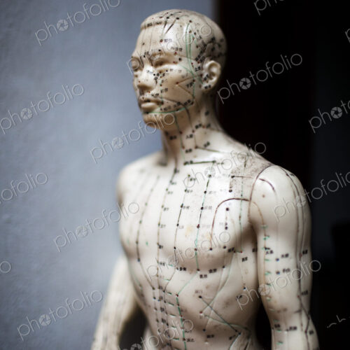 Close up of male acupuncture dummy showing pressure points used by practitioners of…