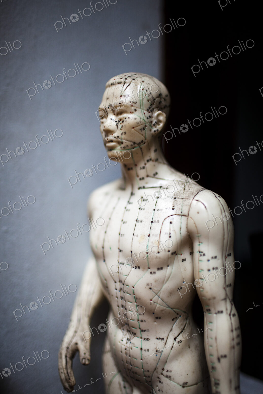 Close up of male acupuncture dummy showing pressure points used by practitioners of…