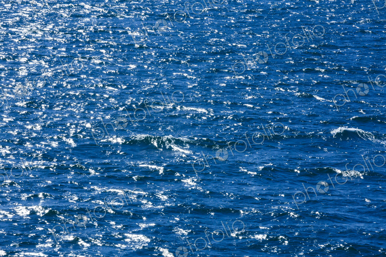 Close-up of ocean waves and swell, Puget Sound, Seattle, WA USA