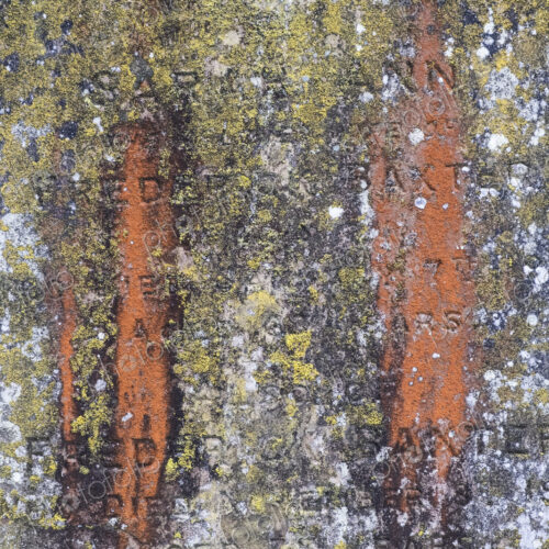 Close up of old tombstone covered in green moss and orange lichen. Close up of old tombstone covered in green moss and orange lichen.