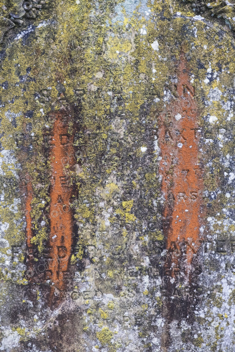 Close up of old tombstone covered in green moss and orange lichen.
