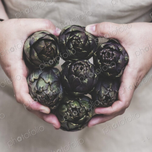 Close up of person holding bunch of fresh artichokes. Close up of person holding bunch of fresh artichokes.