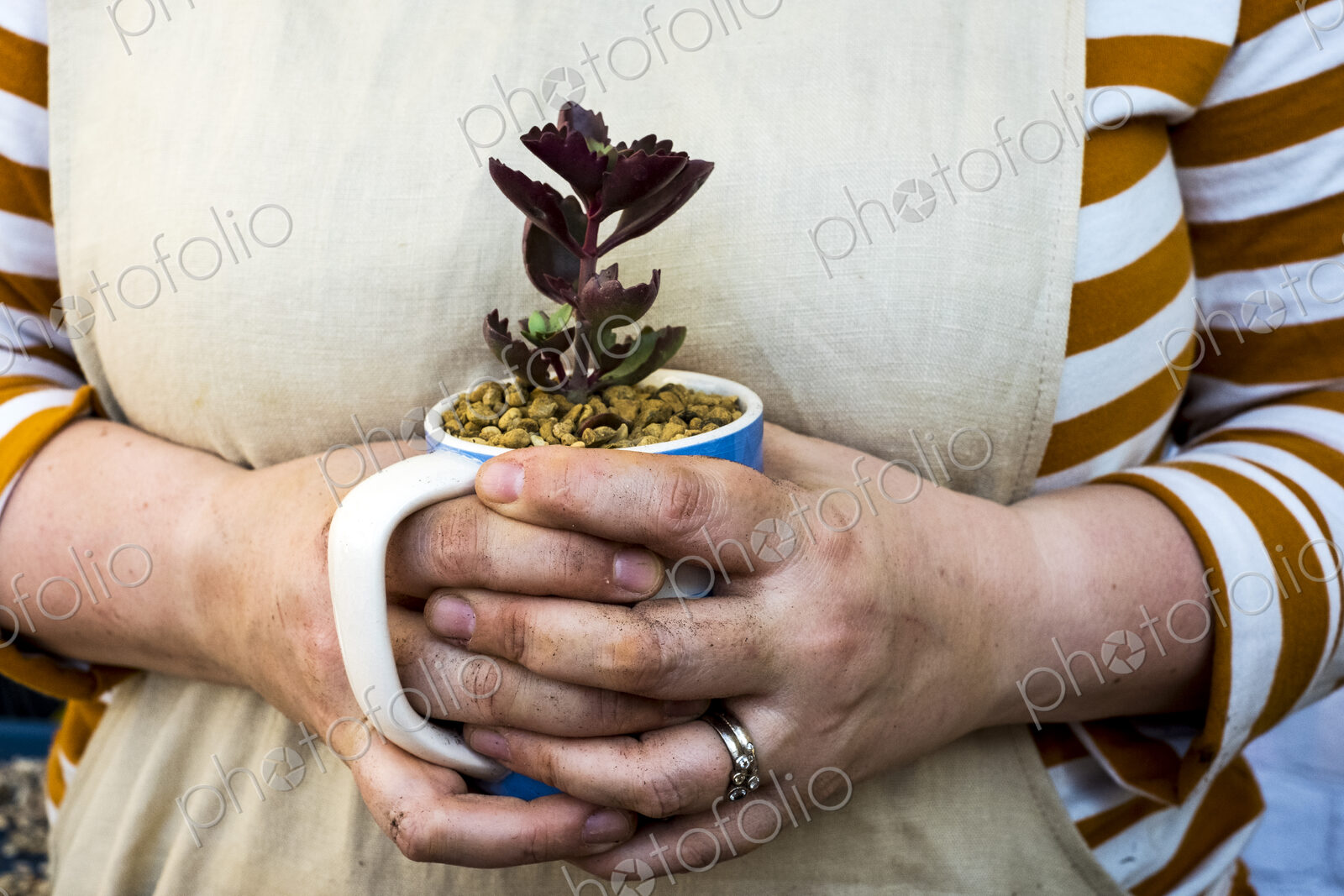 Close up of person holding coffee mug with succulent.