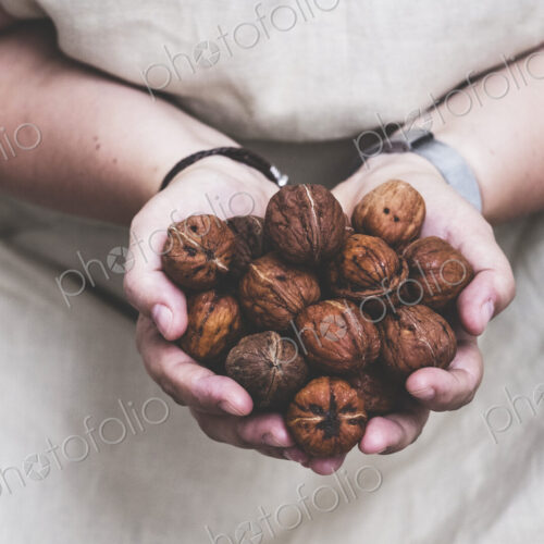 Close up of person holding fresh walnuts. Close up of person holding fresh walnuts.