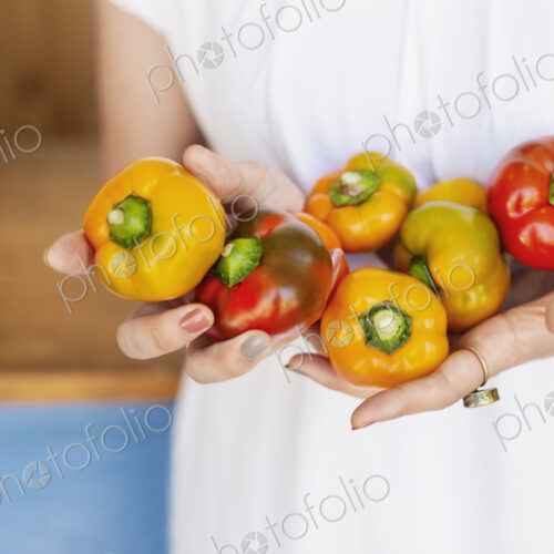 Close up of person holding freshly picked picked red and yellow peppers. Close up of person holding freshly picked picked red and yellow peppers.