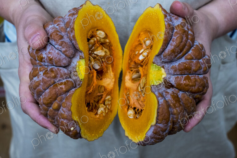 Close up of person holding pumpkin with orange flesh cut in half.