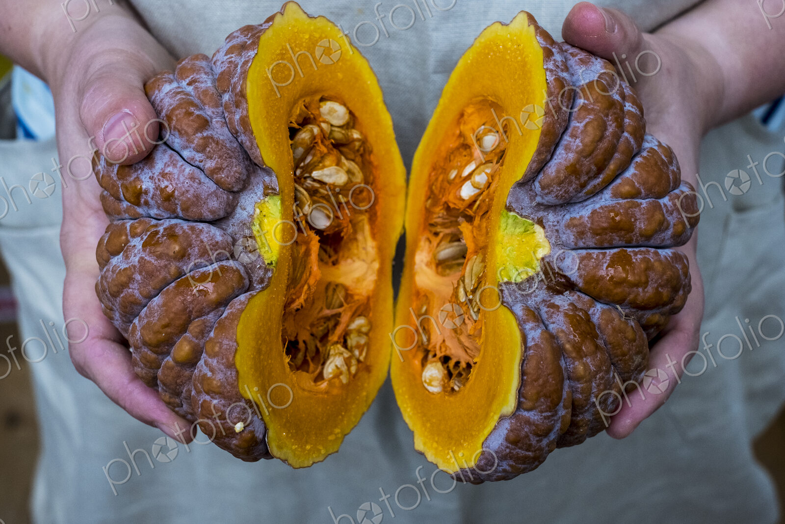 Close up of person holding pumpkin with orange flesh cut in half.
