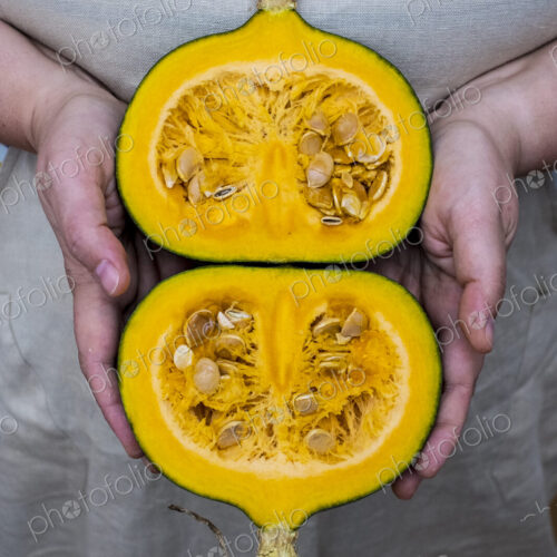 Close up of person holding pumpkin with orange flesh cut in half.