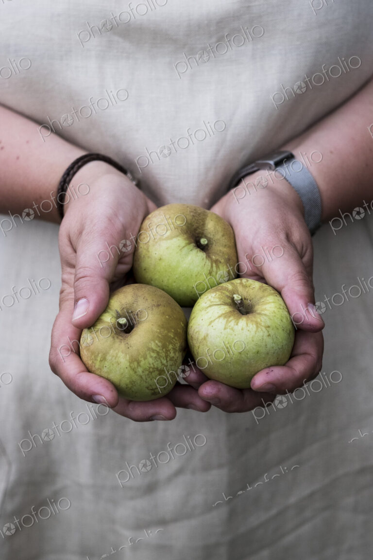 Close up of person holding three green apples.
