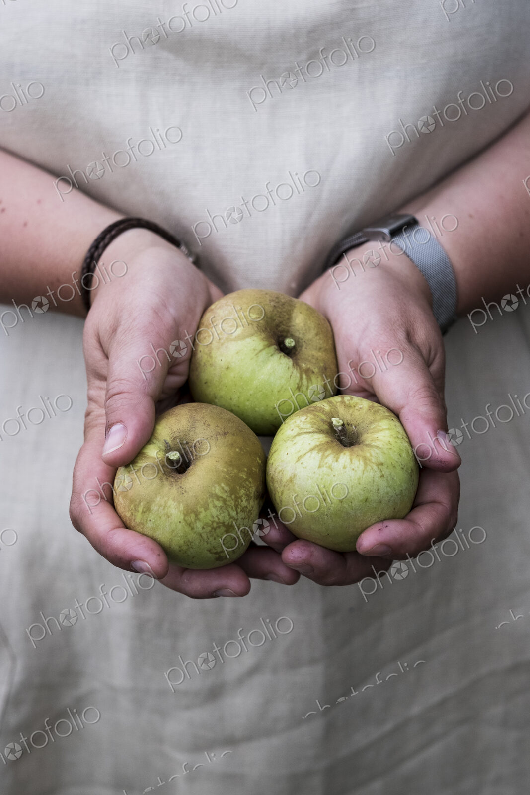 Close up of person holding three green apples.