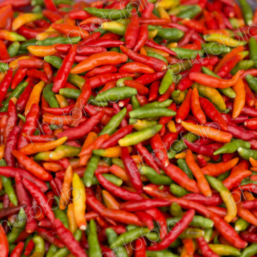 Close up of pile of peppers Close up of pile of peppers