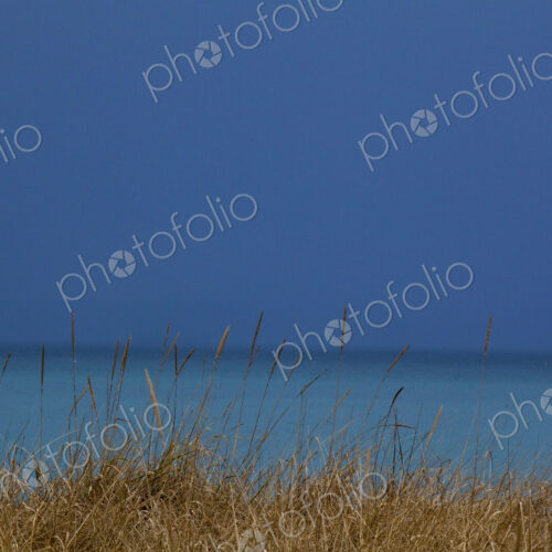 Close up of shore grass along the Strait of Juan de Fuca, deep blue sky meeting a blue… Close up of shore grass along the Strait of Juan de Fuca, deep blue sky meeting a blue…