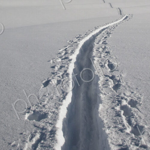 Close up of ski tracks in snow