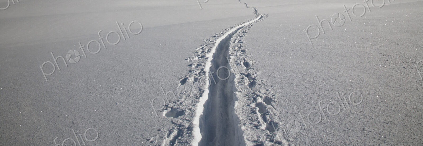 Close up of ski tracks in snow