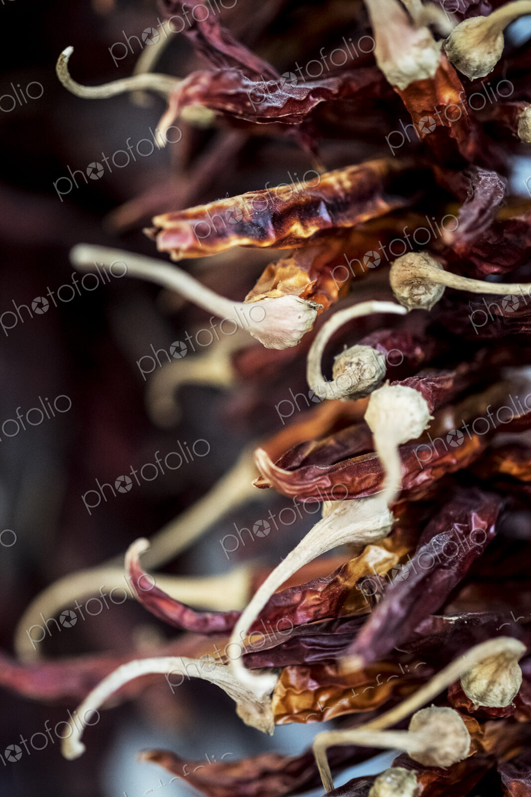 Close up of small bunch of dried red chilies.