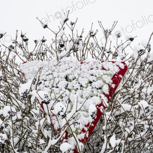 Close up of snow-covered triangular road sign partially hidden in a tree. Close up of snow-covered triangular road sign partially hidden in a tree.