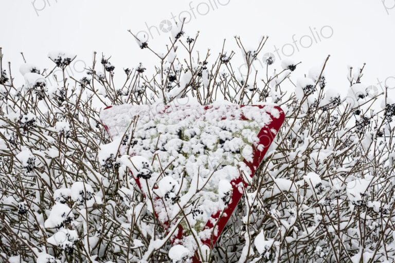 Close up of snow-covered triangular road sign partially hidden in a tree.