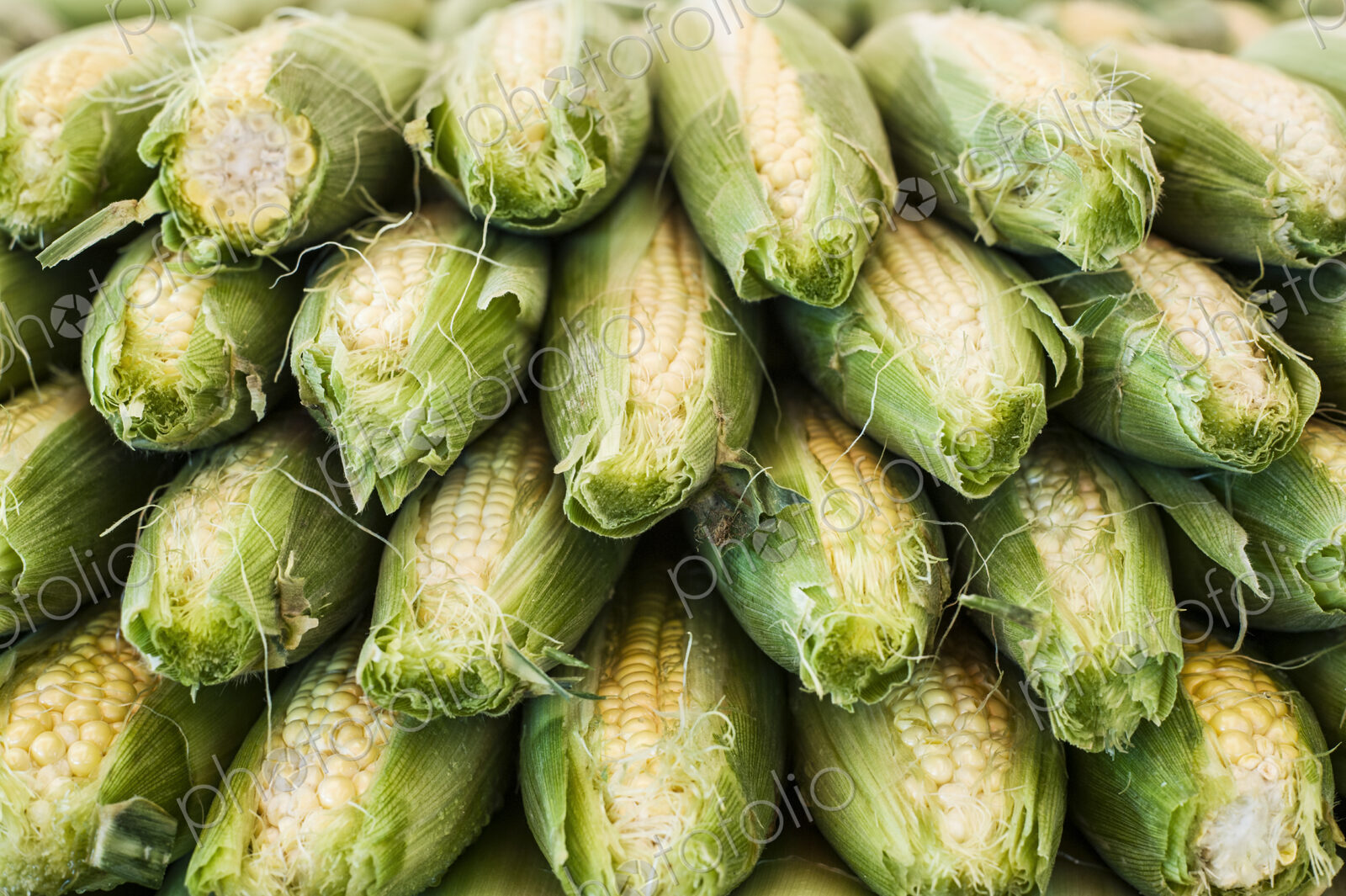 Close up of stack of fresh corn on the cob at a fruit and vegetable market.