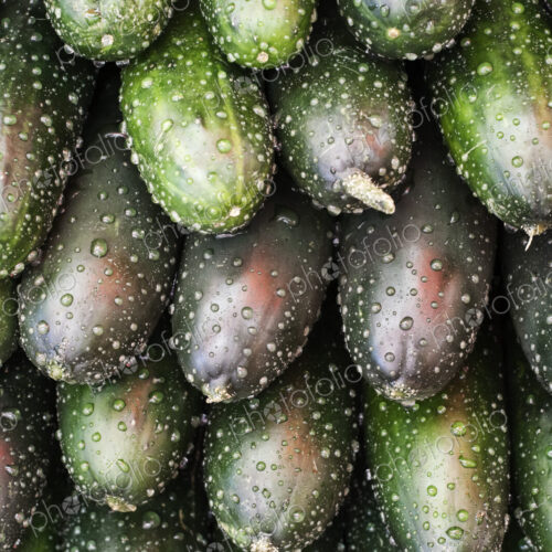 Close up of stack of fresh cucumbers at a fruit and vegetable market.