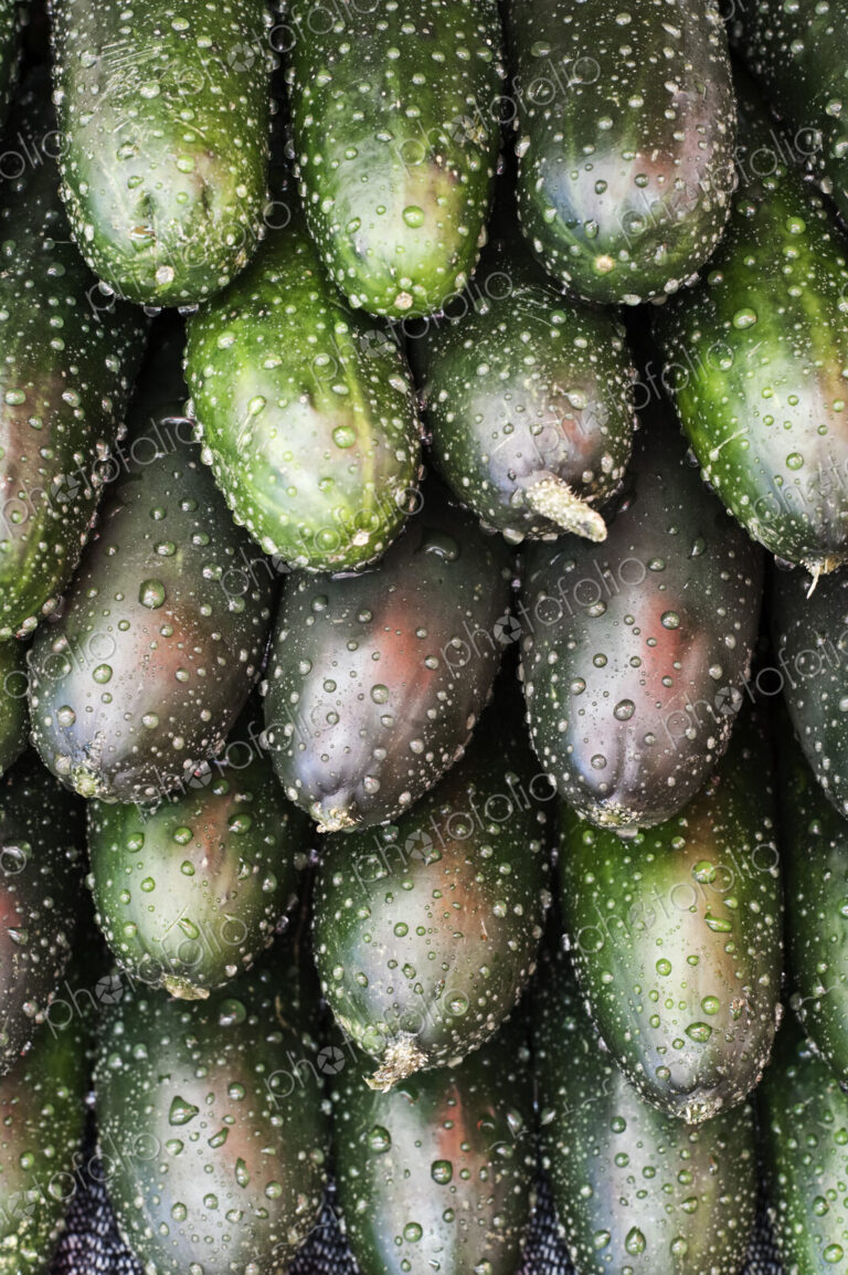 Close up of stack of fresh cucumbers at a fruit and vegetable market.