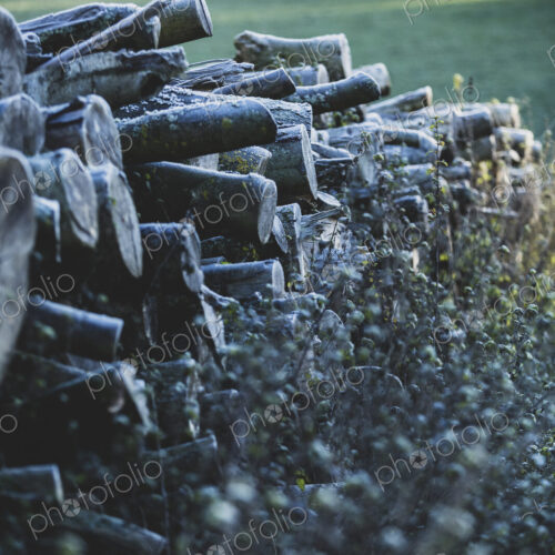 Close up of stack of wooden logs on a farm pasture. Close up of stack of wooden logs on a farm pasture.