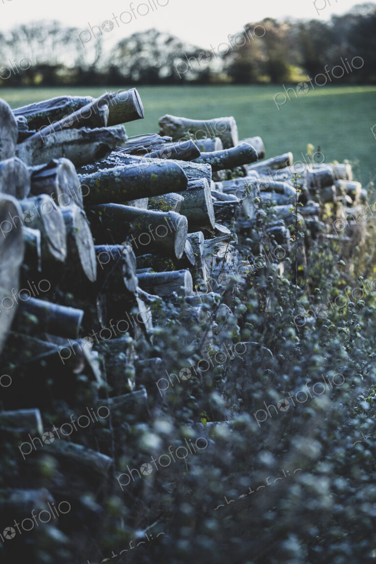 Close up of stack of wooden logs on a farm pasture.