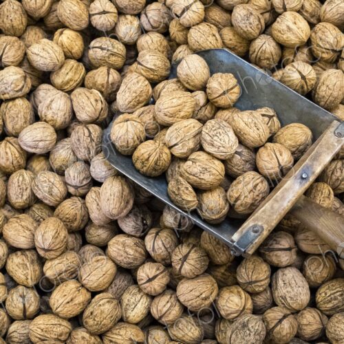 Close-up of walnuts with a metal scoop at a market in Hood River, Oregon, symbolizing… Close-up of walnuts with a metal scoop at a market in Hood River, Oregon, symbolizing…