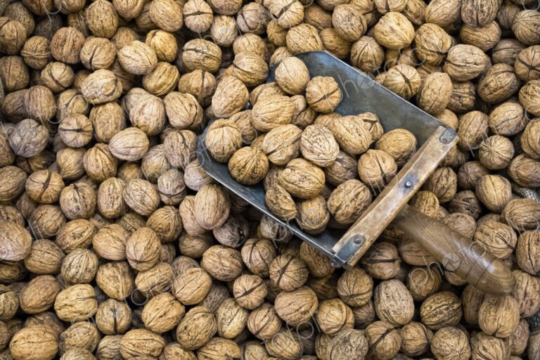 Close-up of walnuts with a metal scoop at a market in Hood River, Oregon, symbolizing…
