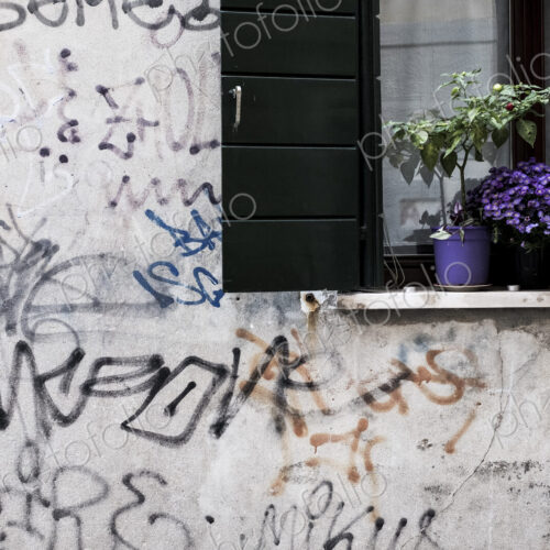 Close up of white wall covered in graffiti, window with black shutters and purple…