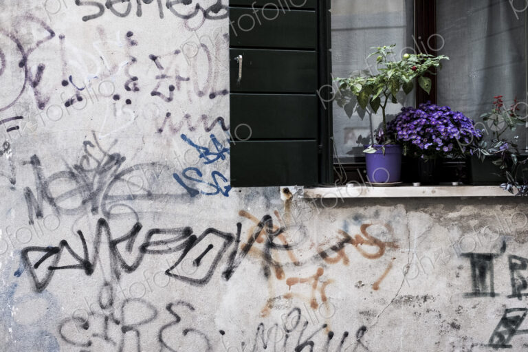 Close up of white wall covered in graffiti, window with black shutters and purple…
