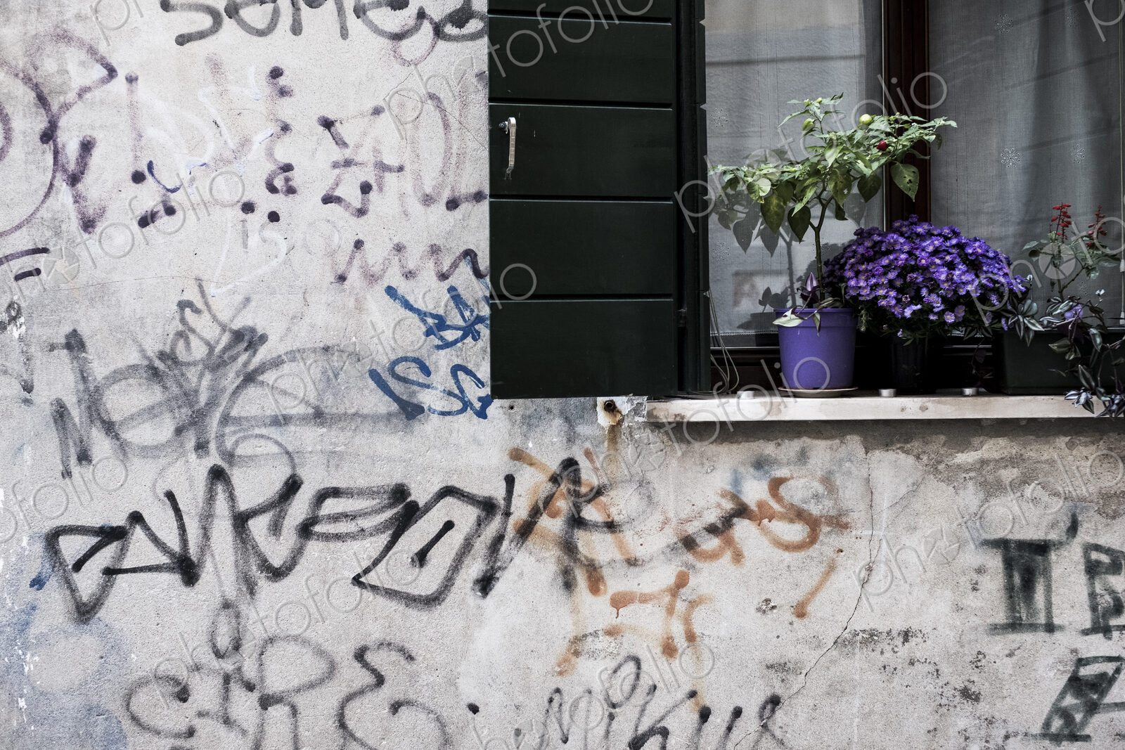 Close up of white wall covered in graffiti, window with black shutters and purple…