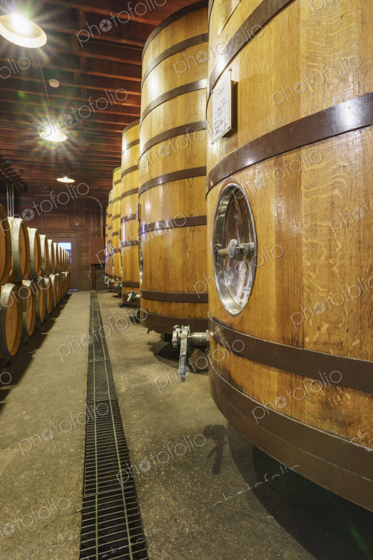 Close up of wine barrels in cellar