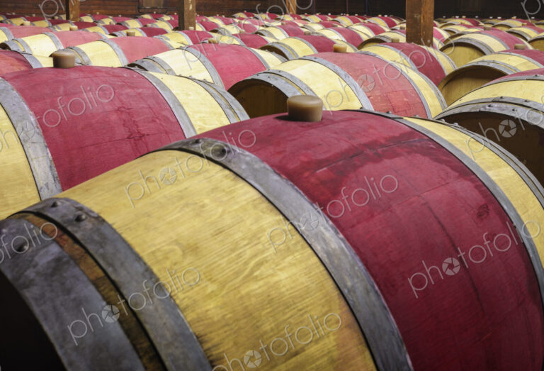 Close up of wine barrels in cellar