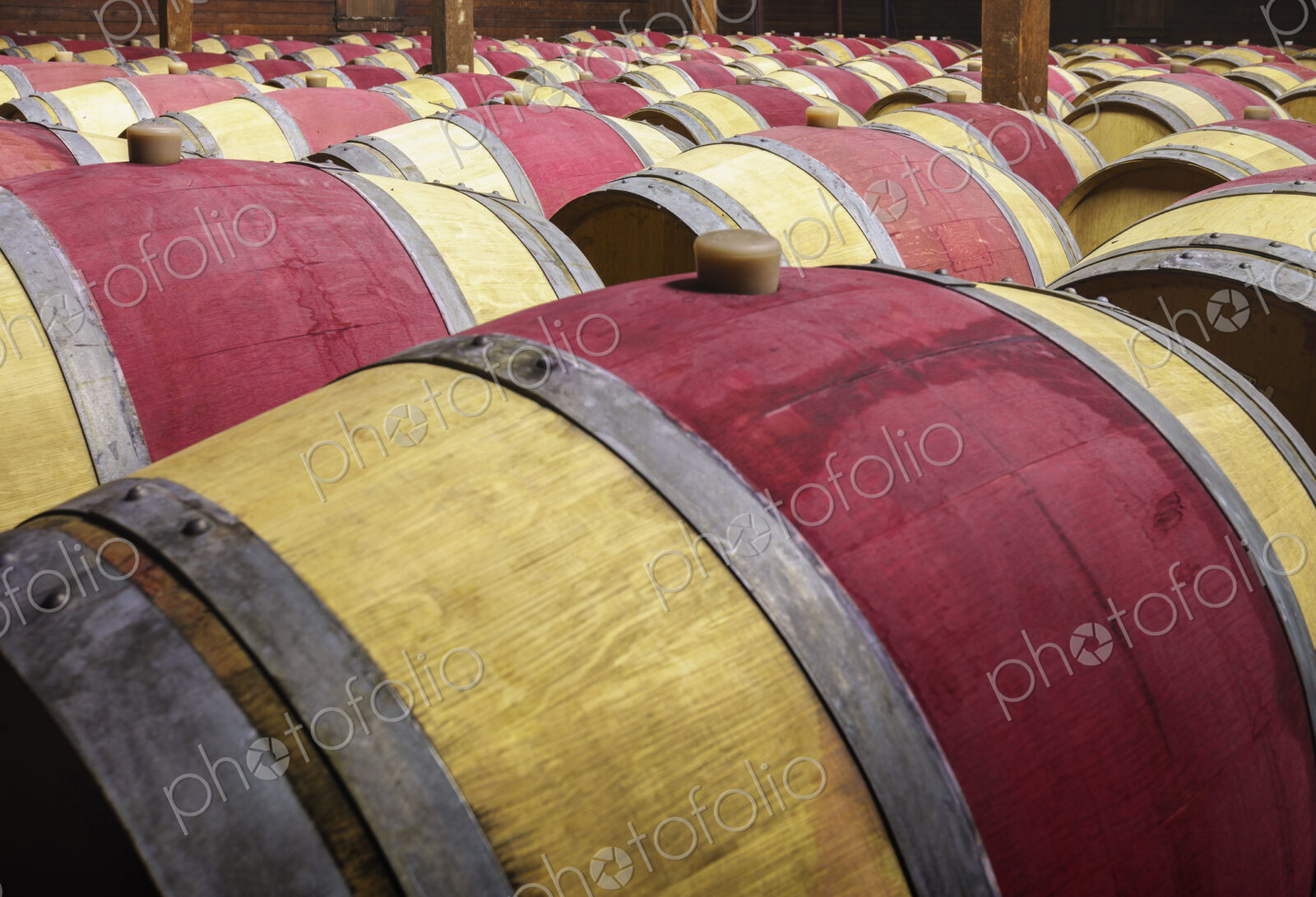 Close up of wine barrels in cellar