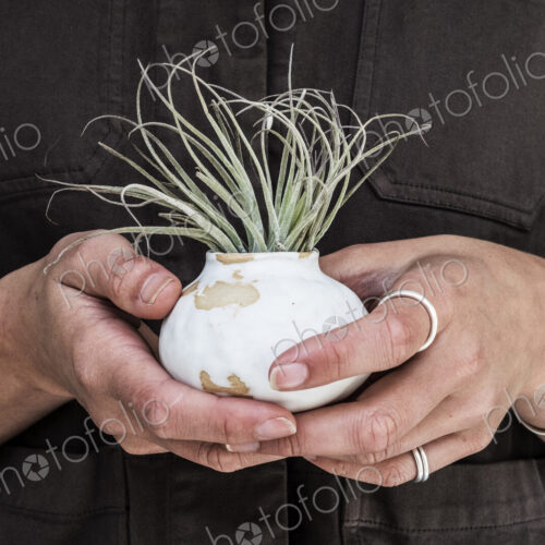 Close up of woman holding air plant in terracotta pots. Close up of woman holding air plant in terracotta pots.