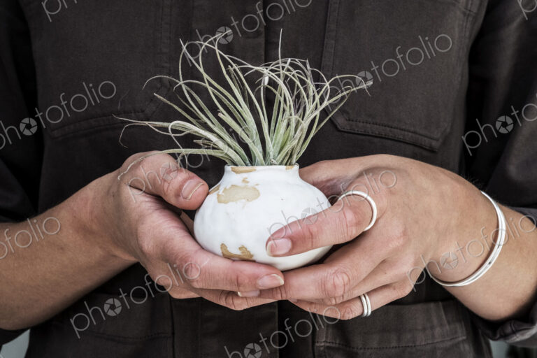 Close up of woman holding air plant in terracotta pots.