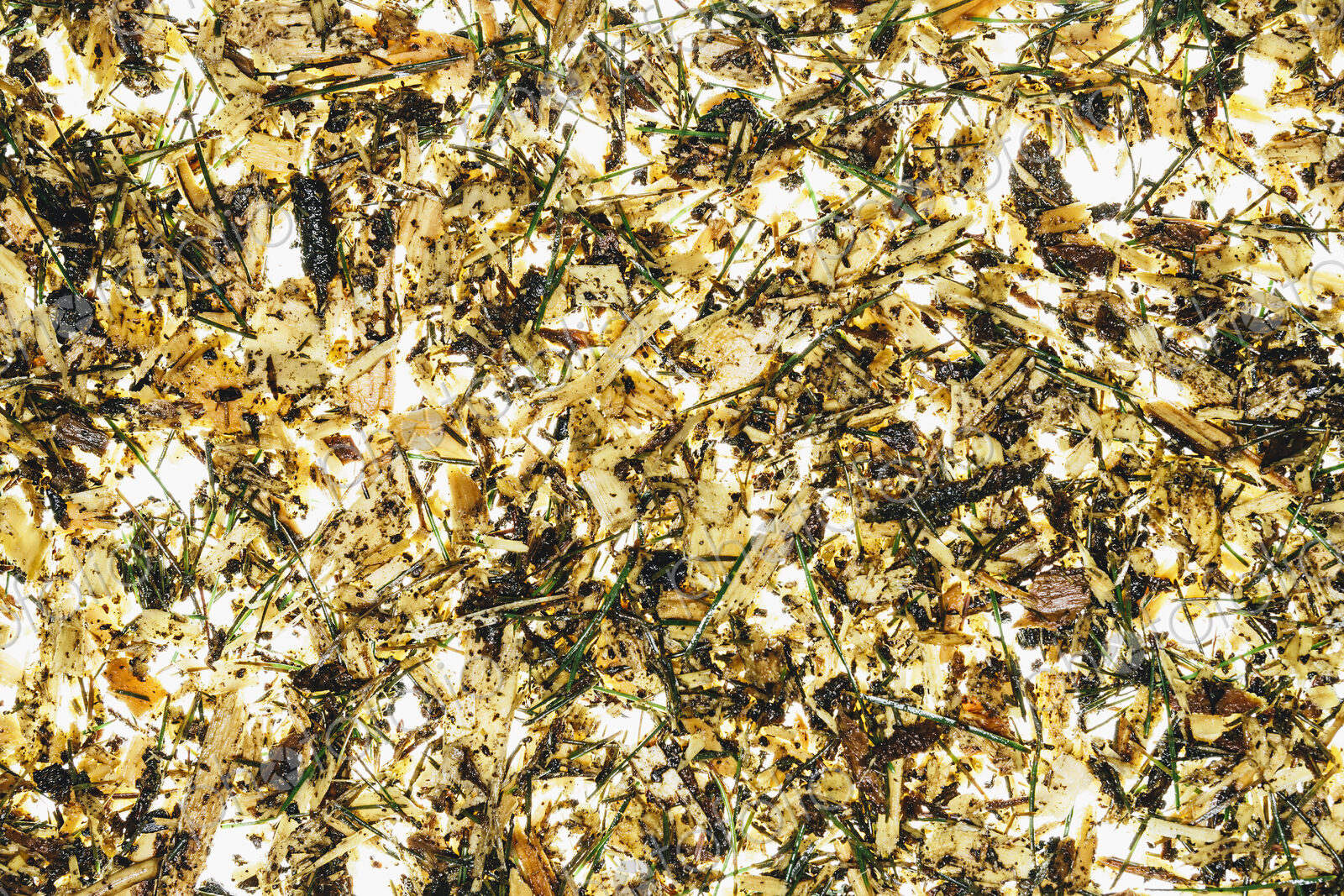Close up of wood chips, pine needle and organic garden mulch