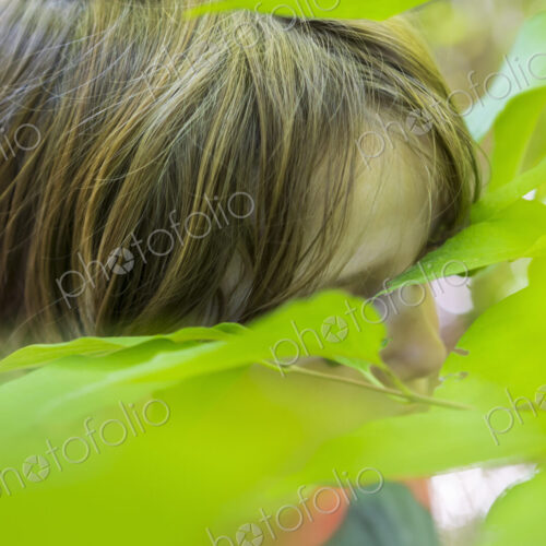 Close up of young boys head and green leaves