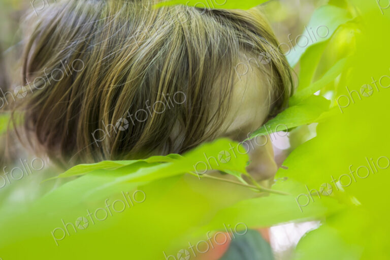 Close up of young boys head and green leaves