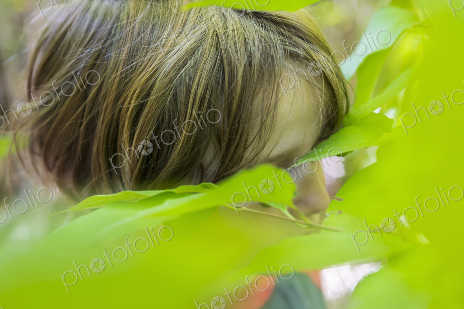Close up of young boys head and green leaves
