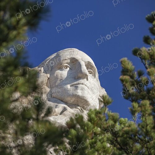 Close view of George Washington on Mount Rushmore framed by pine branches under a deep… Close view of George Washington on Mount Rushmore framed by pine branches under a deep…