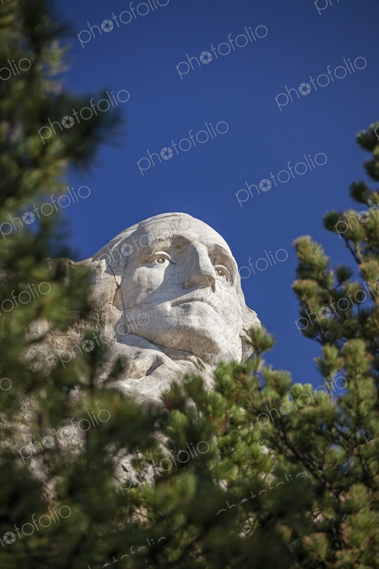 Close view of George Washington on Mount Rushmore framed by pine branches under a deep…