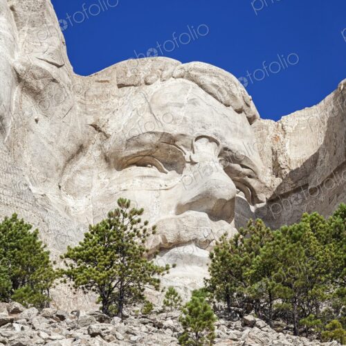 Close view of Theodore Roosevelt face at Mount Rushmore, framed by pines and granite…