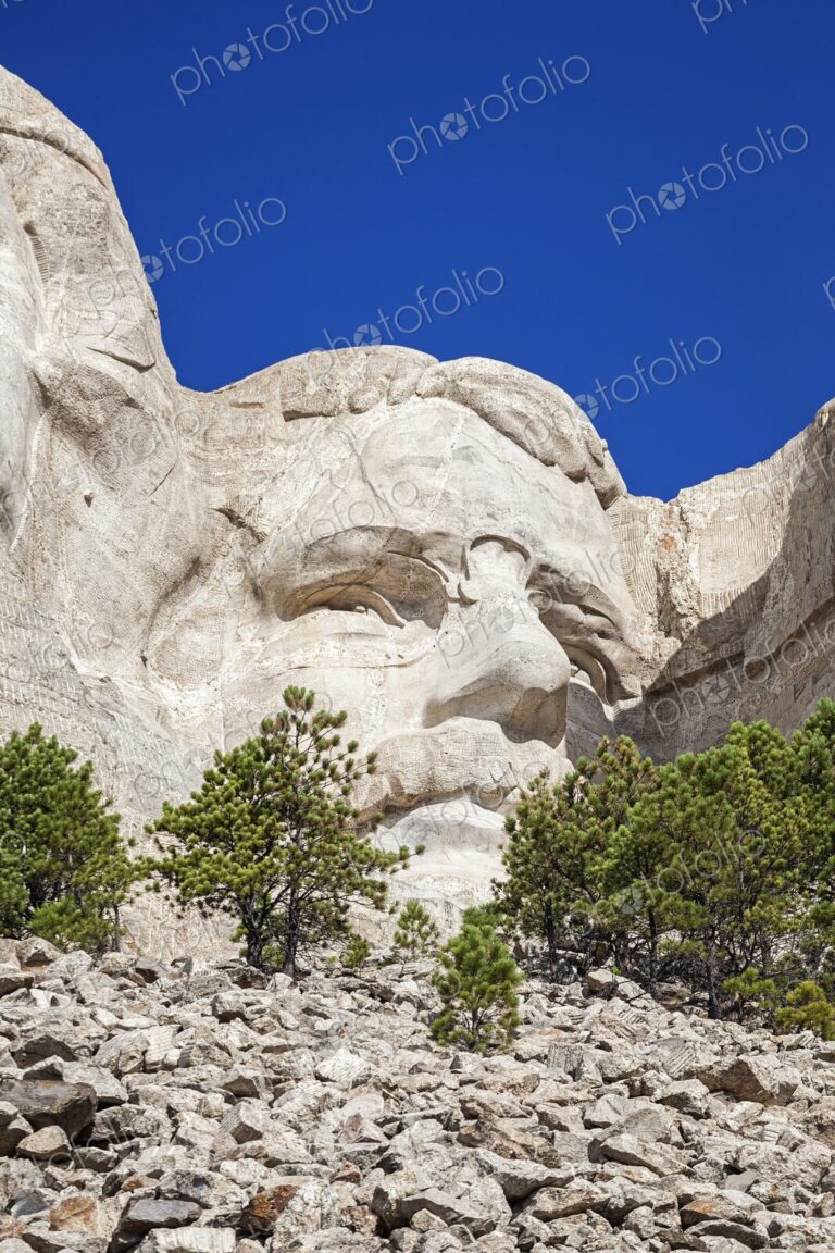 Close view of Theodore Roosevelt face at Mount Rushmore, framed by pines and granite…