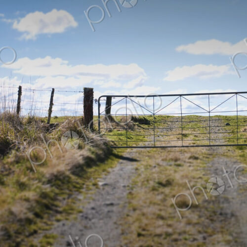 Closed Gate Blocking Field Closed Gate Blocking Field